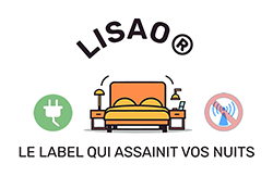 Site Web LISAO